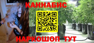 шишки Будённовск