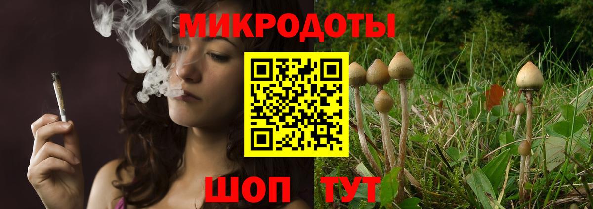 Псилоцибиновые грибы прущие грибы  Галлюциногенные грибы Psilocybine cubensis  как найти закладки  Вход с VPN  Нягань 